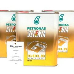 SELENIA GOLD SYNTHETIC 10W40 6L