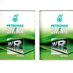 SELENIA WR FORWARD 0W30 4L